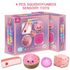 Maltose Filled Squishy Toy Blind Box