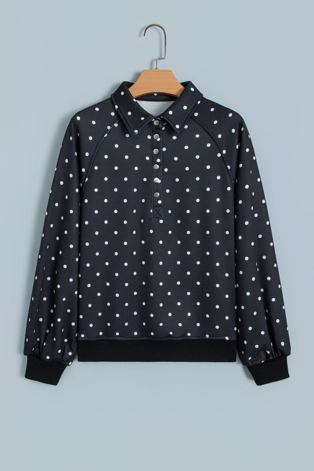Blue Polka Dot Print Metal Button Collar Casual Pullover Sweatshirt