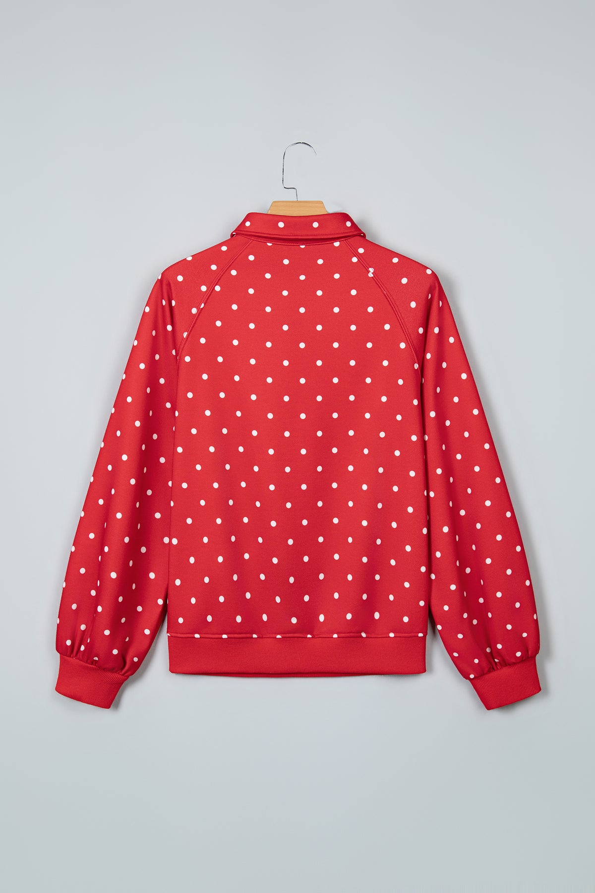 Blue Polka Dot Print Metal Button Collar Casual Pullover Sweatshirt