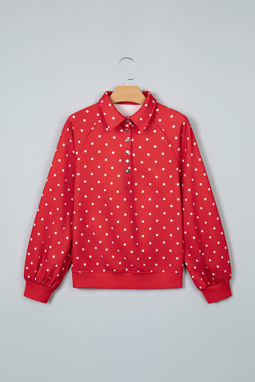 Blue Polka Dot Print Metal Button Collar Casual Pullover Sweatshirt