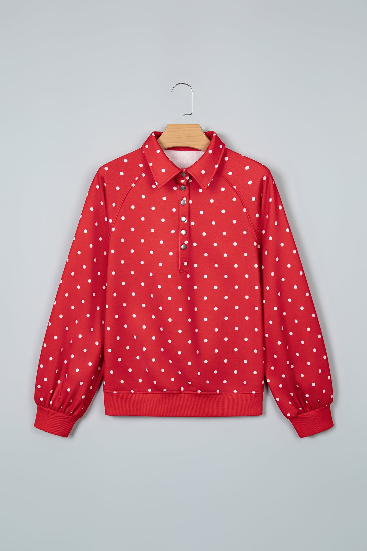 Blue Polka Dot Print Metal Button Collar Casual Pullover Sweatshirt