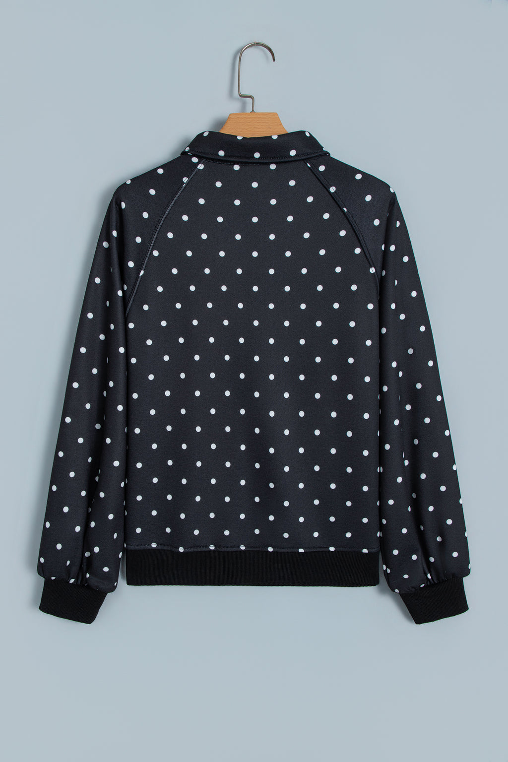 Blue Polka Dot Print Metal Button Collar Casual Pullover Sweatshirt