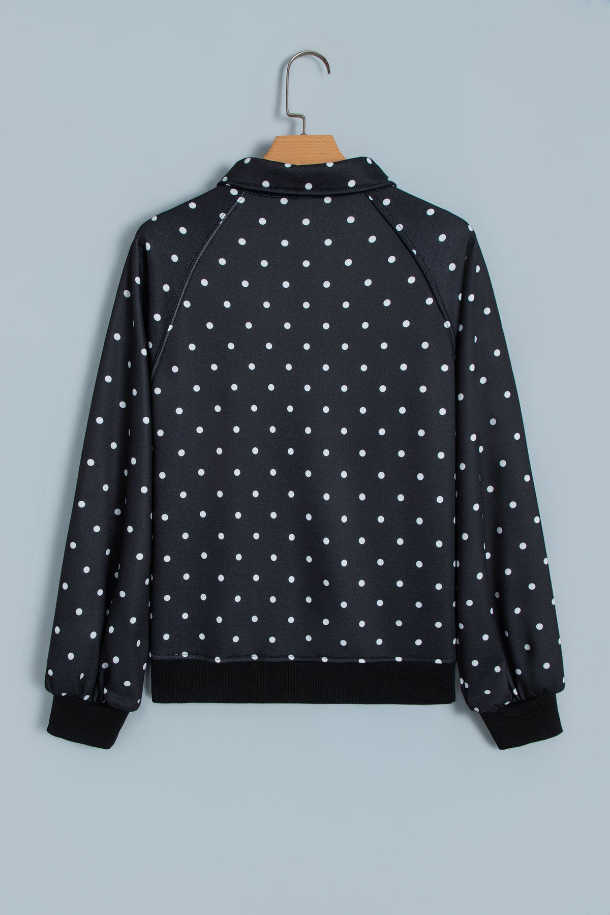 Blue Polka Dot Print Metal Button Collar Casual Pullover Sweatshirt