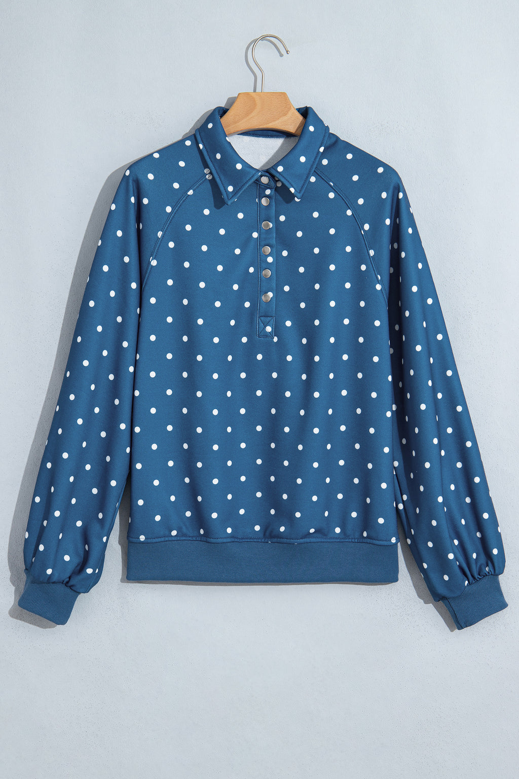 Blue Polka Dot Print Metal Button Collar Casual Pullover Sweatshirt